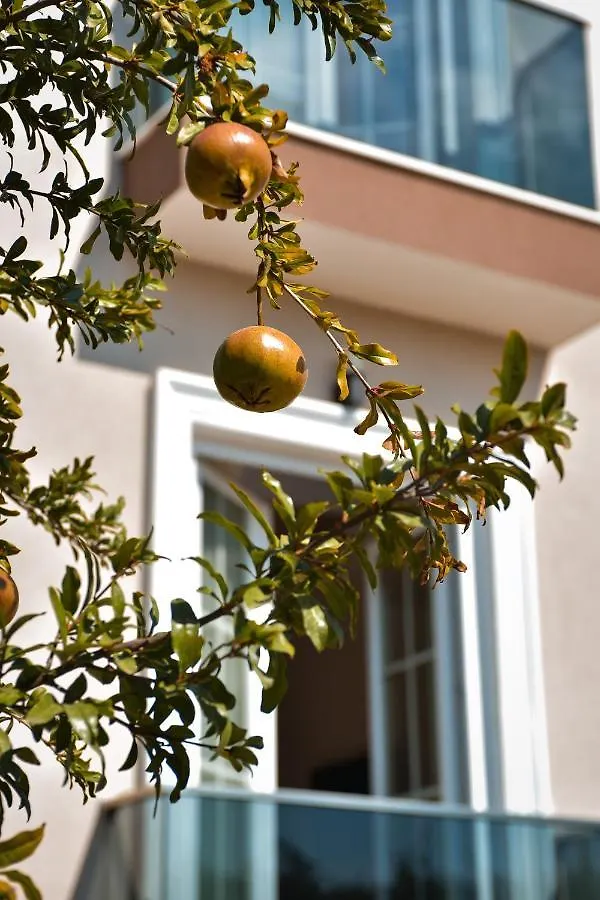 Airport Garden Hotel Rinas 3*,